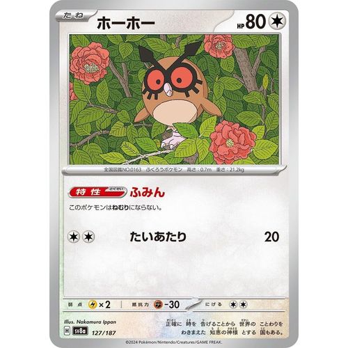 Hoothoot (127/187) (SV8a: Terastal Fest ex)