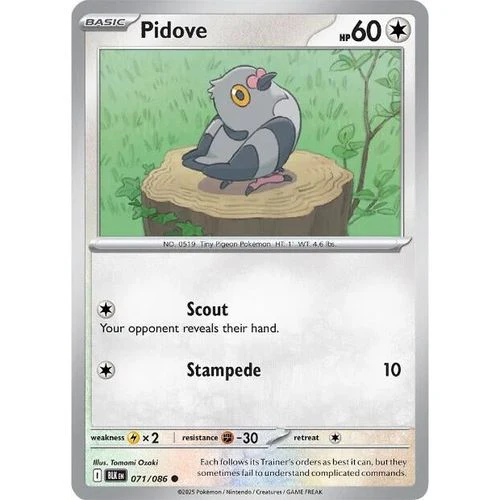 Pidove (071/086) (SV: Black Bolt)